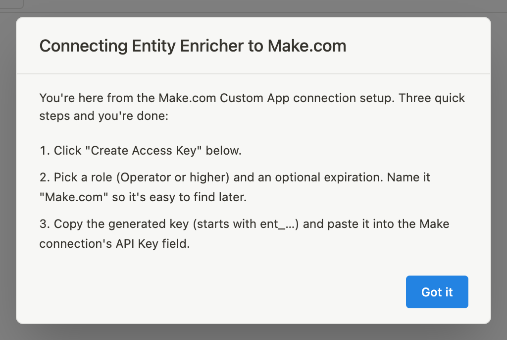 A página Chaves de API do Entity Enricher a receber um visitante vindo da configuração de ligação do Make.com